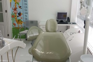 Gustavo Adolfo Lindgren Alves, um(a) profissional credenciado(a) NewONE Orthodontics